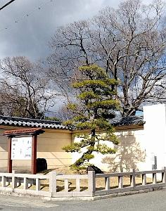 NAGOYA - Quartier Kakuozan - 25.01.2024 -22